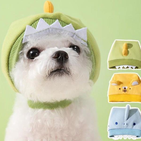 Animal Pet Hat (Various Designs)  |  Pet Accessories