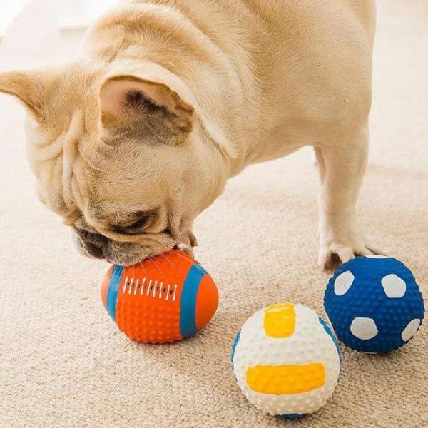 Ball Pet Chew Toy (Various Designs)  |  Pet Accessories