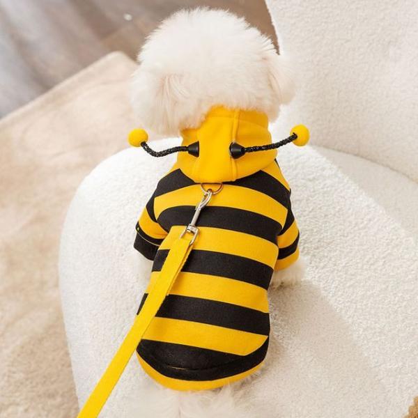 Bee Hooded Pet Top (Various Designs)  |  Pet Accessories