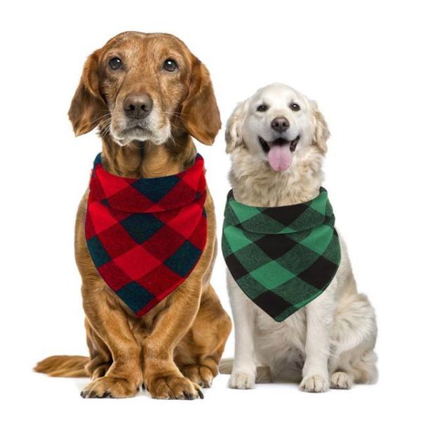 Checker Bandana Pet Collar  |  Pet Accessories