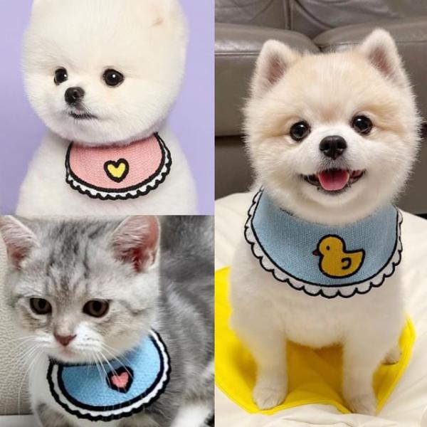 Heart Bib Pet Collar (Various Designs)  |  Pet Accessories