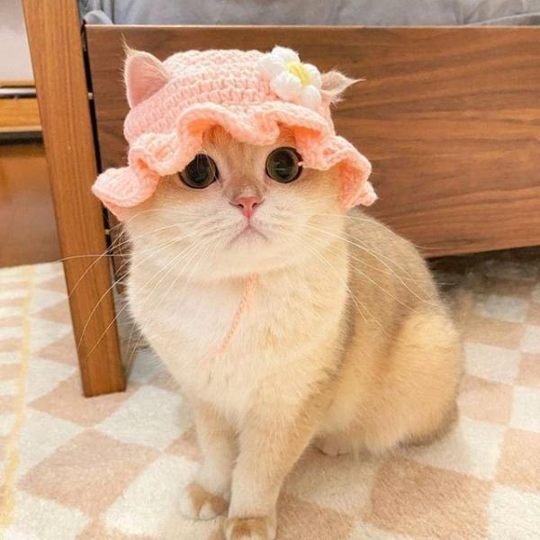 Knit Pet Hat (Various Designs)  |  Pet Accessories