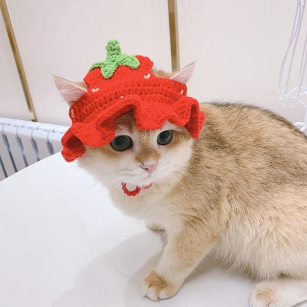 Knit Pet Hat (Various Designs)  |  Pet Accessories