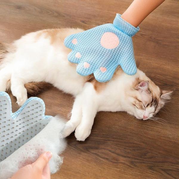 Pet Hair Remover Glove (Various Designs)  |  Pet Accessories