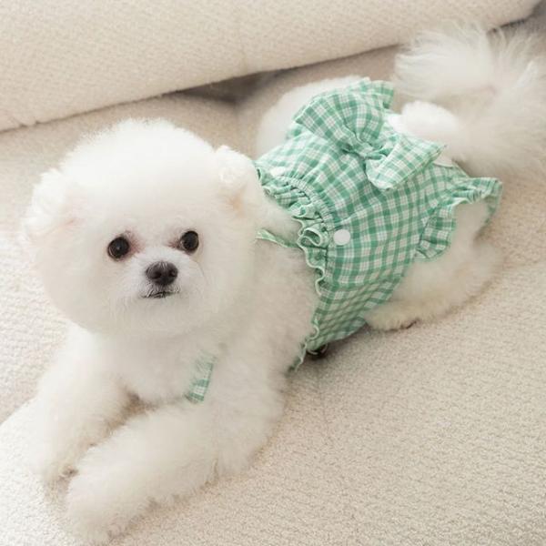 Plaid Sanitary Pet Pants  |  Pet Accessories