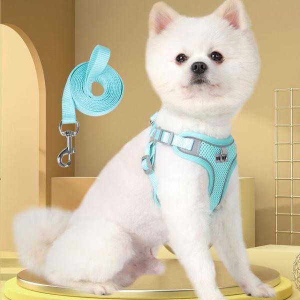 Plain Pet Harness With Leash  |  Pet Accessories