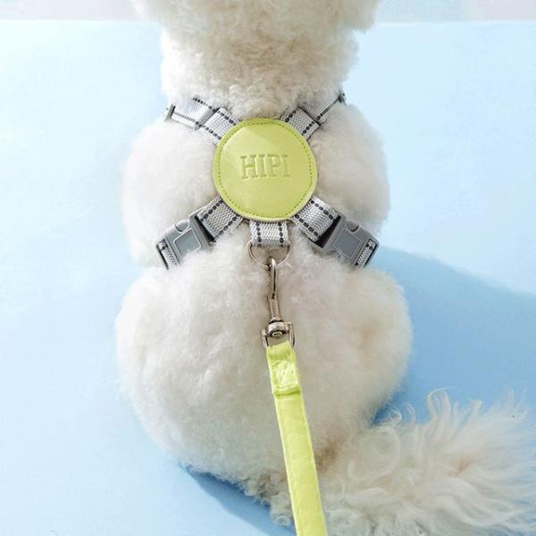 Plain Pet Harness With Leash  |  Pet Accessories