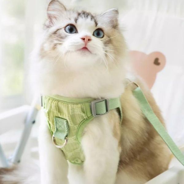 Plain Pet Harness With Leash  |  Pet Accessories