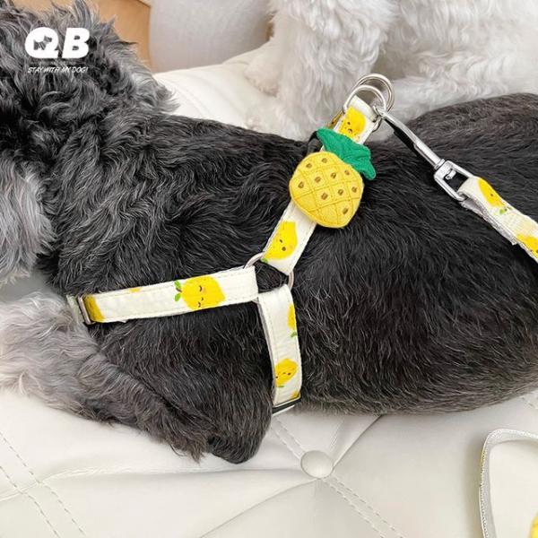 Print Pet Harness  |  Pet Accessories