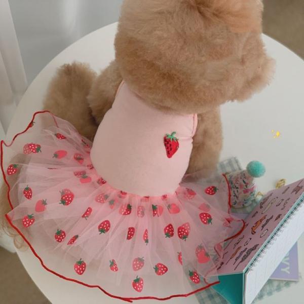 Strawberry / Floral Pet Dress  |  Pet Accessories