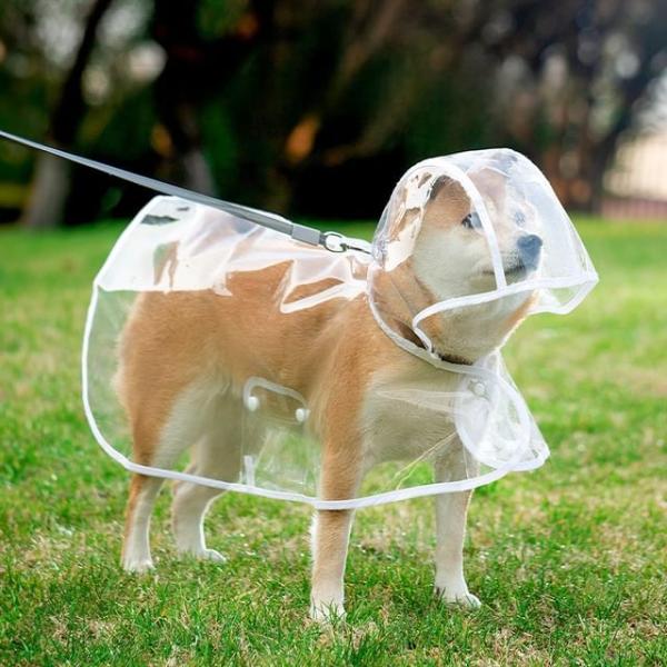 Transparent Pet Raincoat  |  Pet Accessories