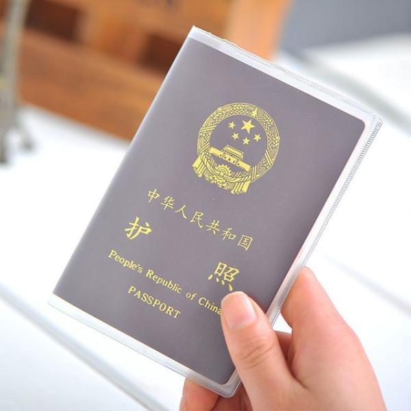 Transparent / Translucent Pvc Passport Cover  |  Travel Essentials